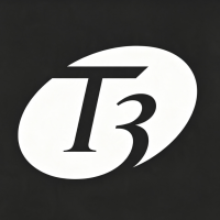 T3