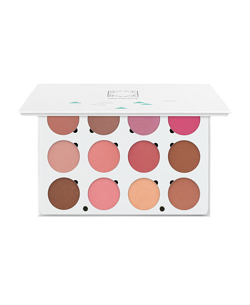 Pro Palette Blush