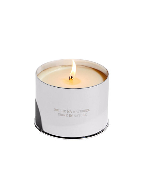Vela Jungle Candle